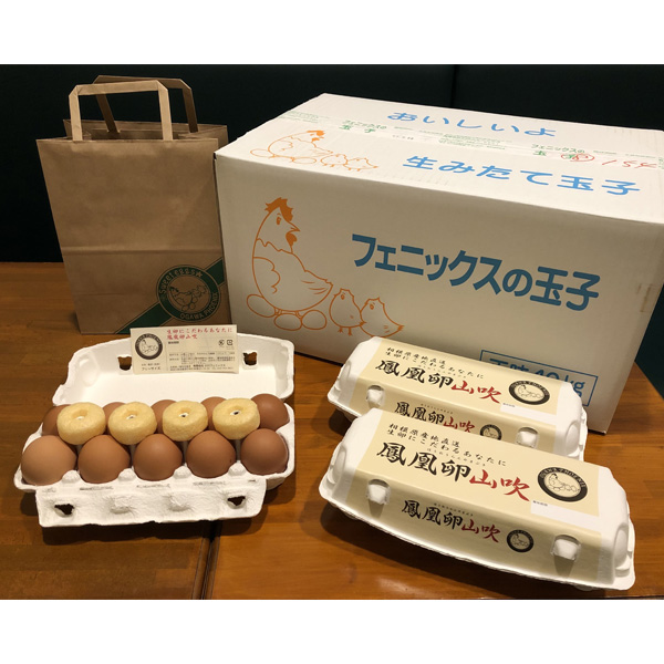 【直送】鳳凰卵【山吹】12パック（1パック10個詰）※破損保障2パック付き