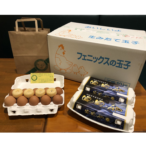 【直送】鳳凰卵12パック（1パック10個詰）※破損保障2パック付き