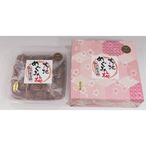 「紀州南高梅 大地めぐみ梅」特選はちみつ梅 塩分約8％ 400ｇ