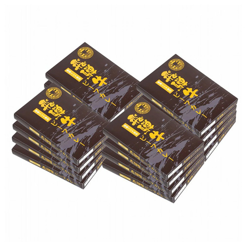 【岐阜県】飛騨牛ミンチビーフカレー16食