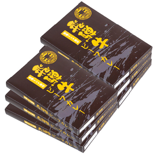 【岐阜県】飛騨牛ミンチビーフカレー6食
